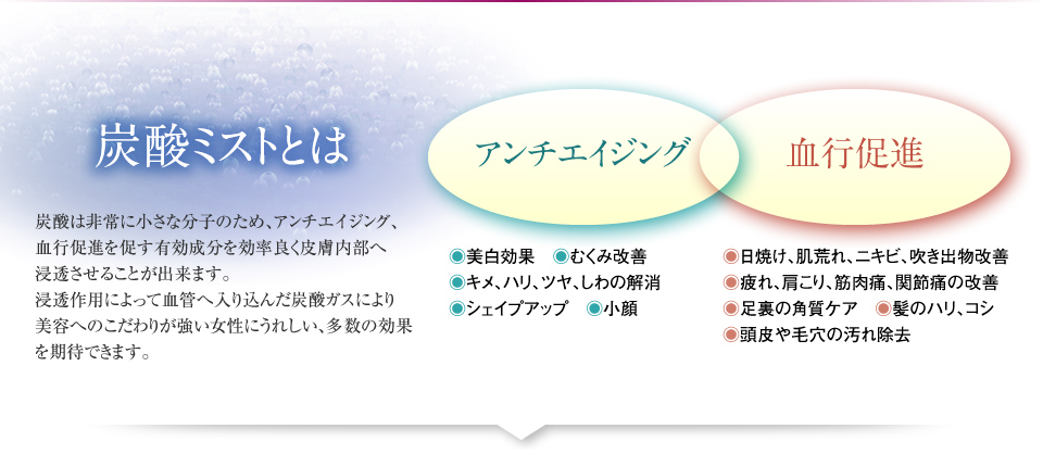 炭酸ミストとは 炭酸は非常に小さな分子のため、アンチエイジング、血行促進を促す有効成分を効率良く皮膚内部へ浸透させることが出来ます。浸透作用によって血管へ入り込んだ炭酸ガスにより新陳代謝が活発になり、女性にうれしい多数の効果を期待できます。アンチエイジング 美白効果むくみ改善キメ、ハリ、ツヤ、しわの解消シェイプアップ 小顔 血行促進 日焼け、肌荒れ、ニキビ、吹き出物改善 疲れ、肩こり、筋肉痛、関節痛の改善 足裏の角質ケア髪のハリ、コシ 頭皮や毛穴の汚れ除去